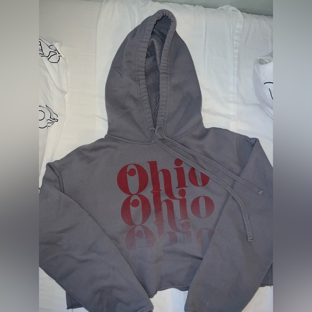 Ohio State Game Day Cropped Hoodie